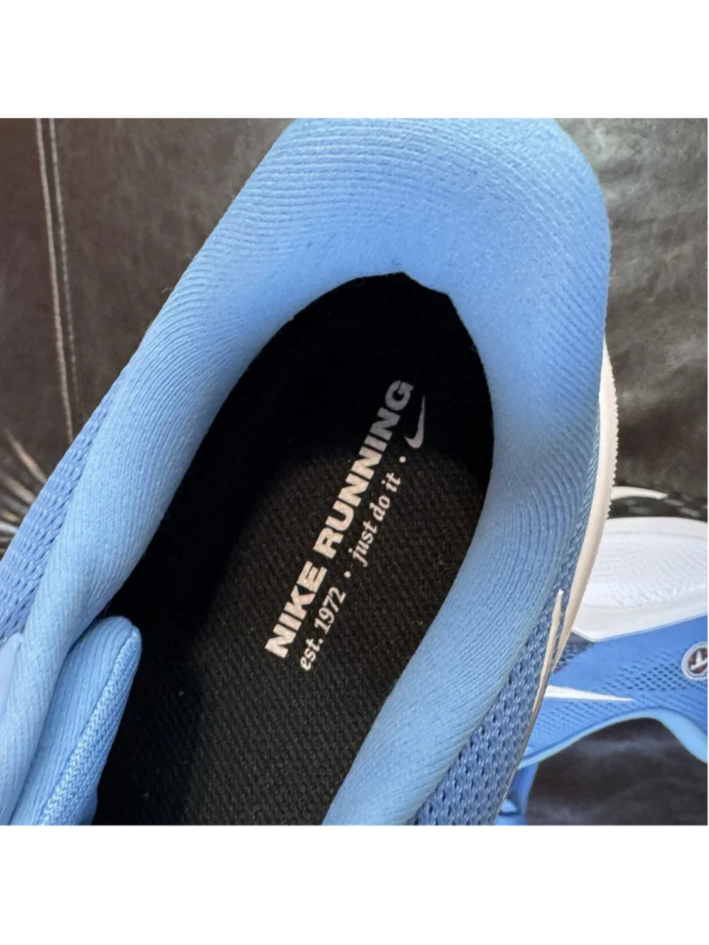 Nike nwt air